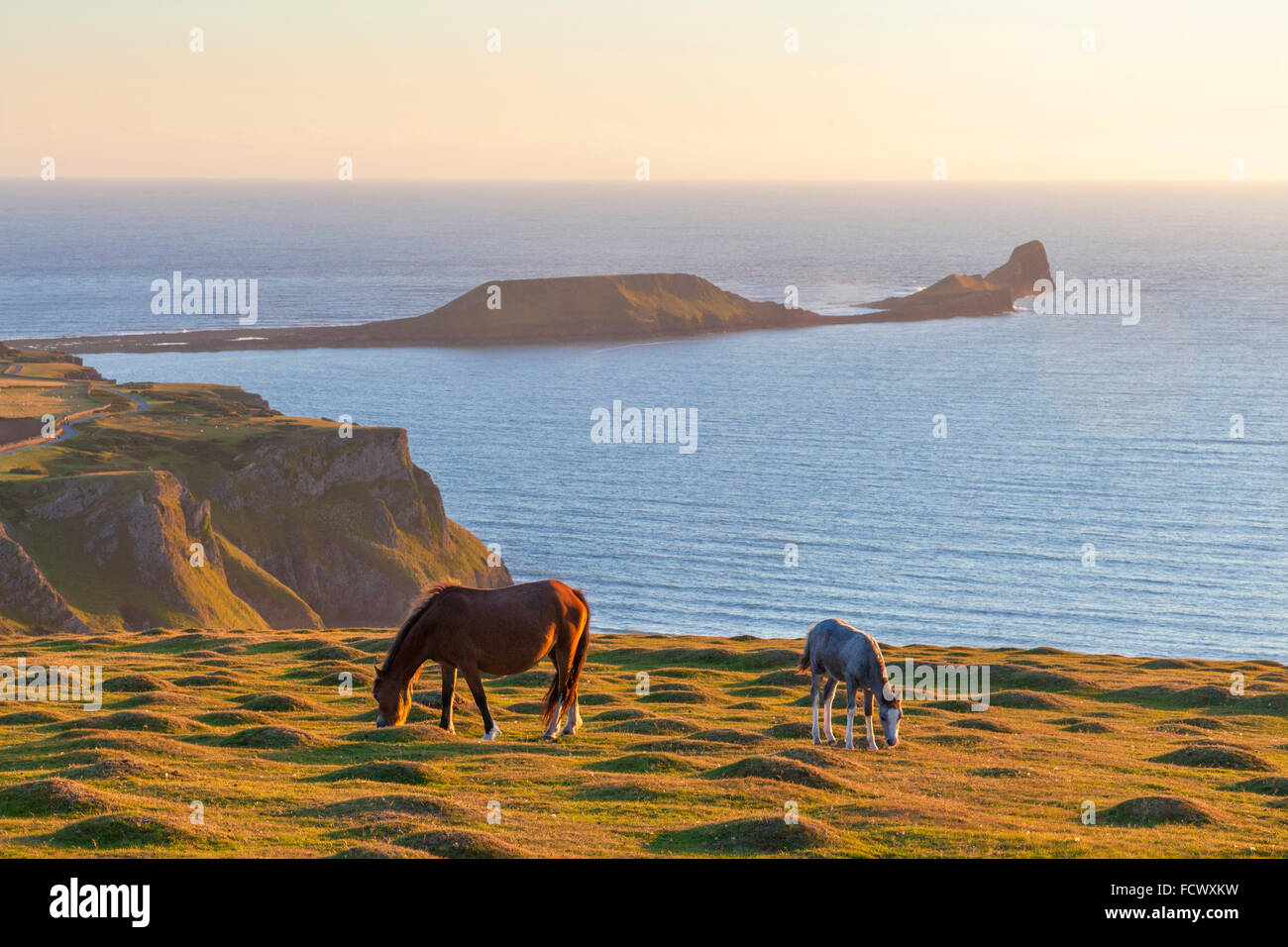 RHOSSILI BAY, GOWER, PAYS DE GALLES, ROYAUME-UNI Banque D'Images