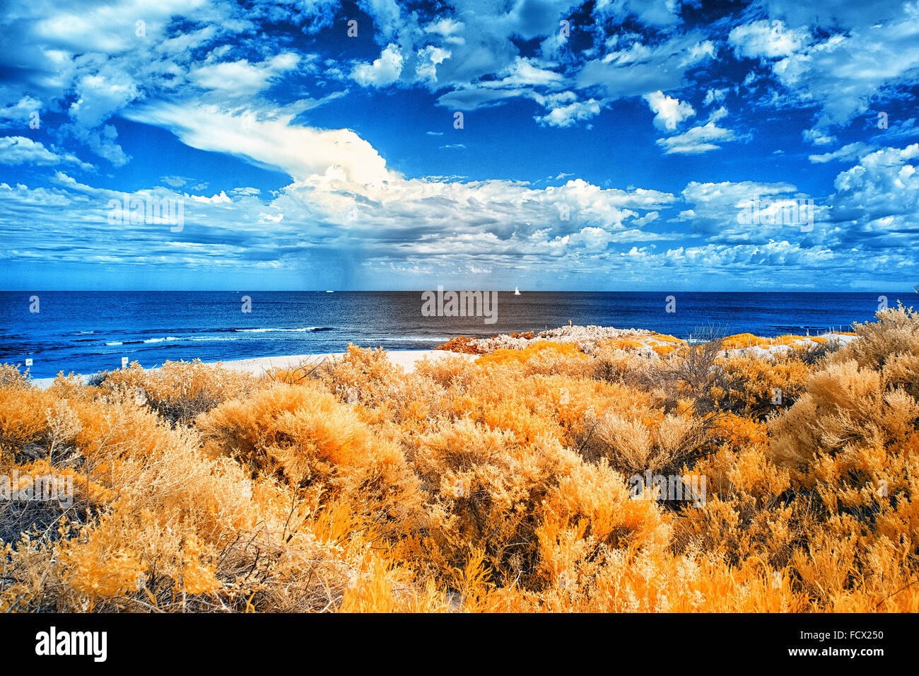 Vue de la plage de l'Île Triggs Perth Western Australia Banque D'Images