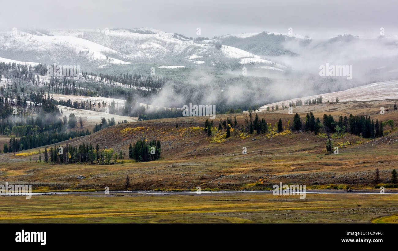 Campagne du Parc National de Yellowstone Banque D'Images
