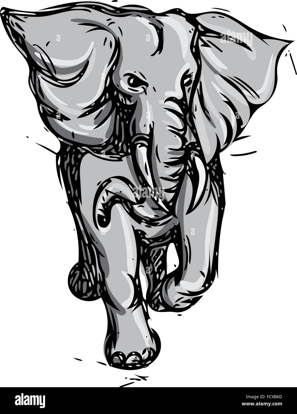Croquis dessin illustration style de saccager un éléphant d'Afrique vue de l'avant sur un fond blanc. Illustration de Vecteur