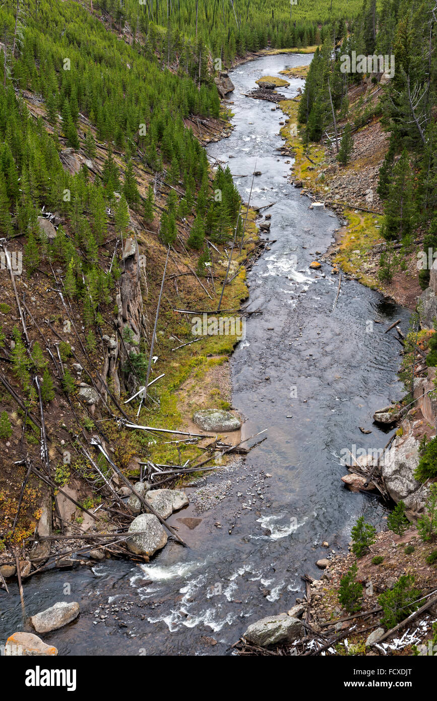 Vue de la Gibbon River in Yellowstone Banque D'Images