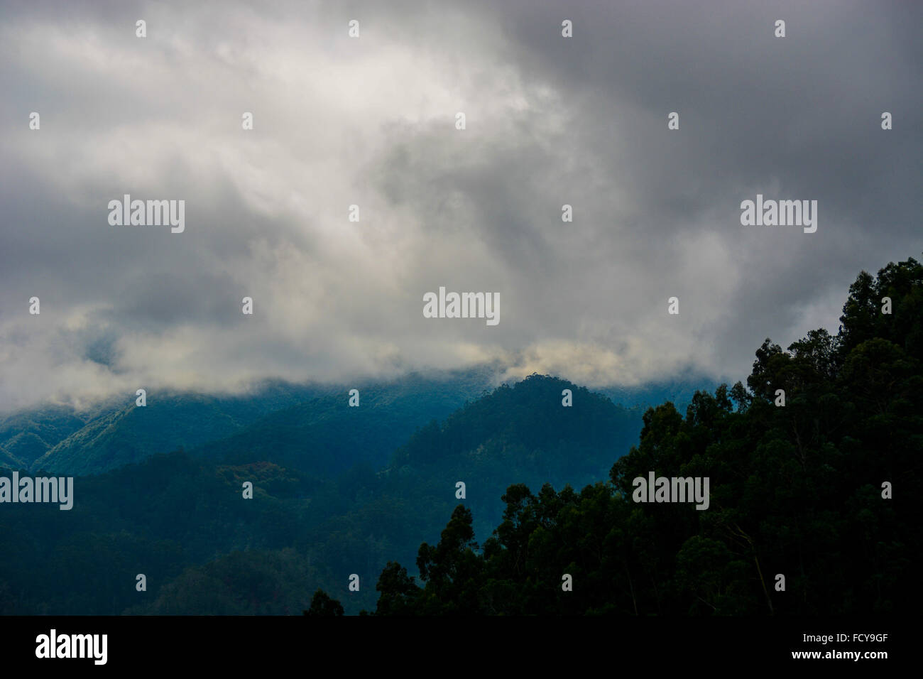 Les montagnes, les nuages et la brume, près de Santana, l'île de Madère, Portugal Banque D'Images