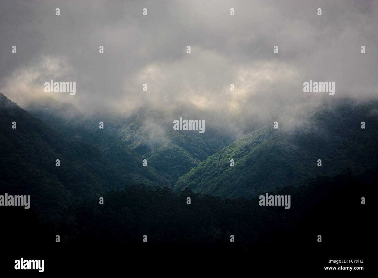 Les montagnes, les nuages et la brume, près de Santana, l'île de Madère, Portugal Banque D'Images