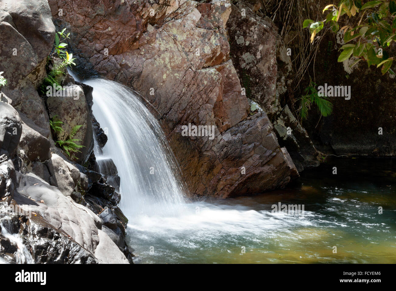 Chutes d'Araluen à Eungella National Park, Queensland, Australie Banque D'Images