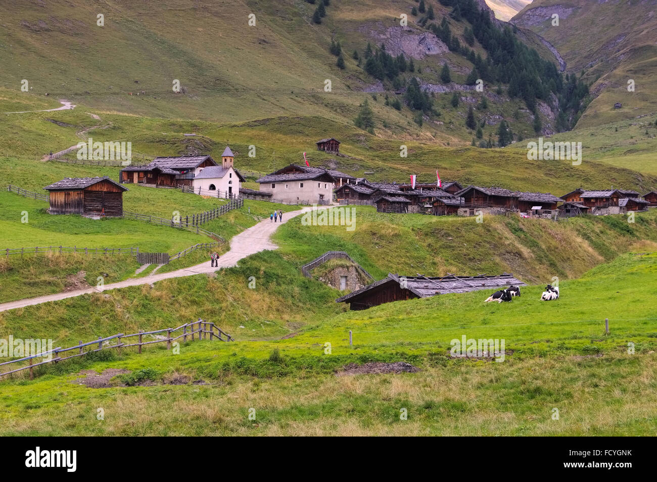 Dans den italienischen Alm Fane Dolomiten - Fane Alp en italien Dolomites Banque D'Images