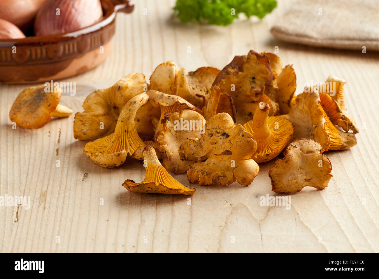 Tas de chanterelles jaunes frais prêts à cuire Banque D'Images