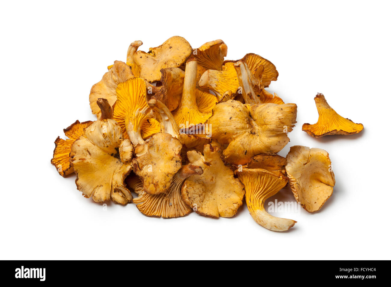 Heap of fresh chanterelles jaunes sur fond blanc Banque D'Images