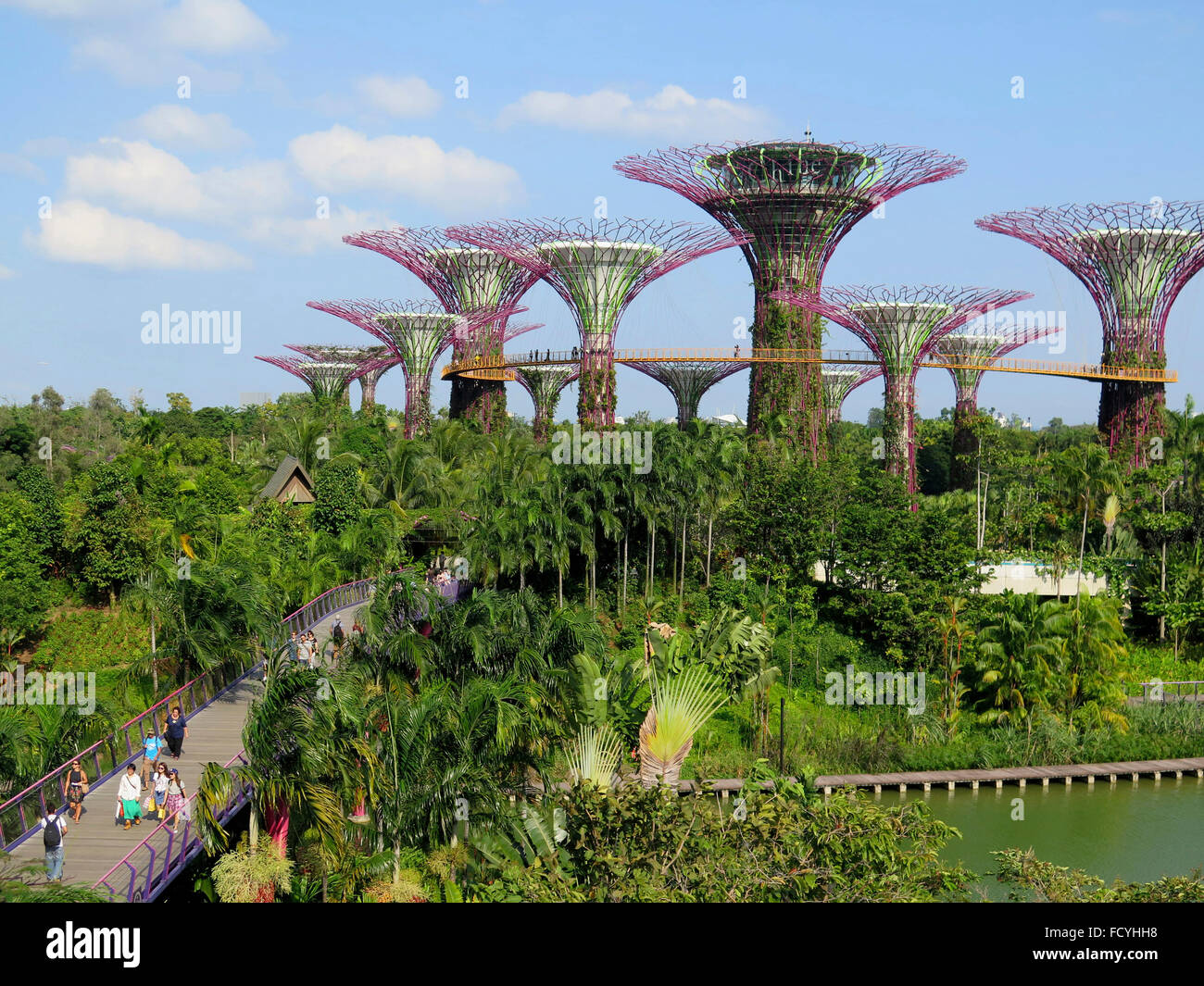 Vue sur Supertree Grove, jardins par le Bay Park, à Singapour, en Asie Banque D'Images