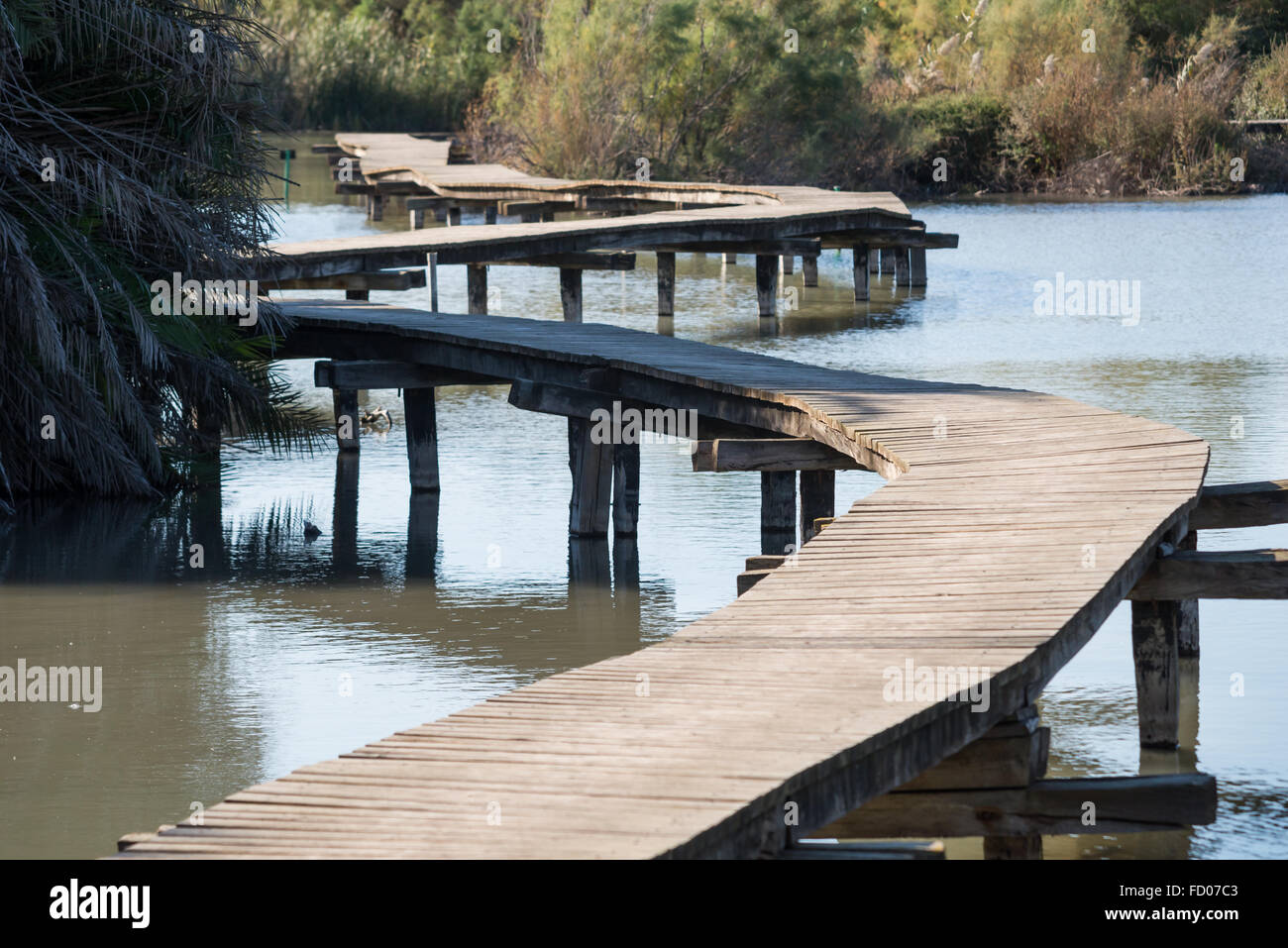 Pont en bois à Ein Cefa Réserver Banque D'Images