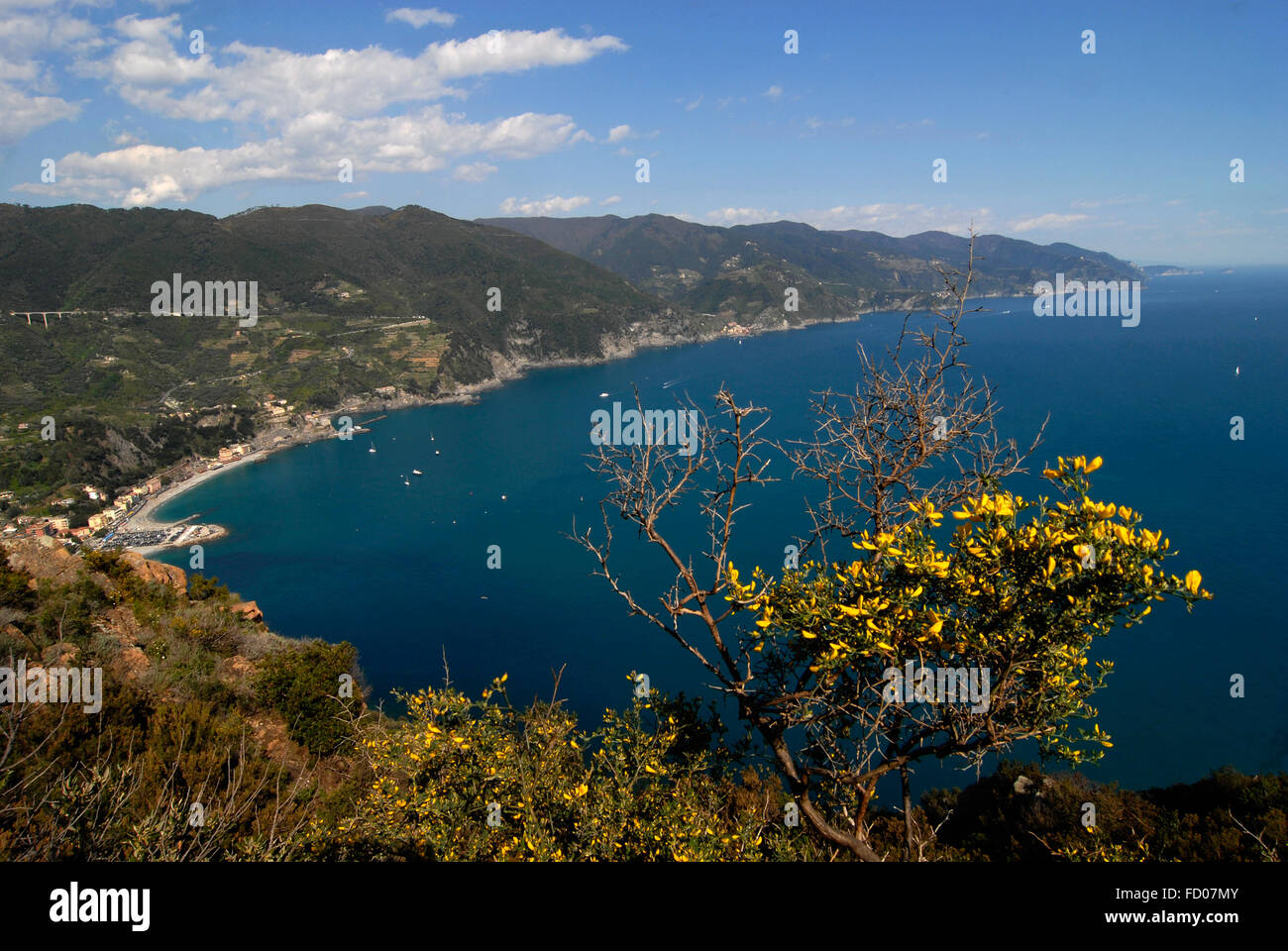 Italie Ligurie 5 Terre Punta Mesco, Banque D'Images