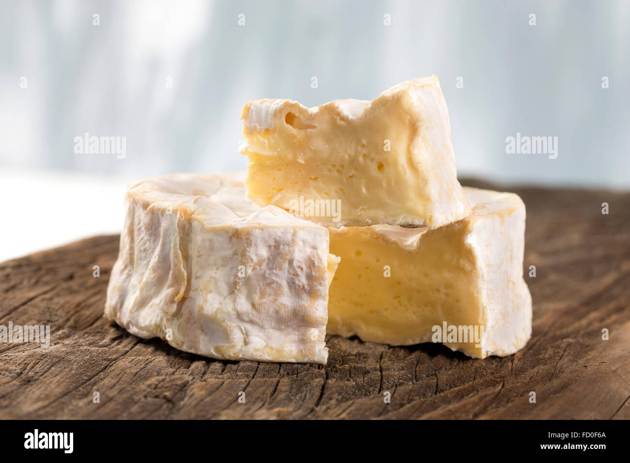 Fromage Camembert de Normandie traditionnelle Française Banque D'Images