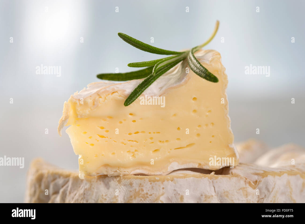 Fromage Camembert de Normandie traditionnelle Française Banque D'Images