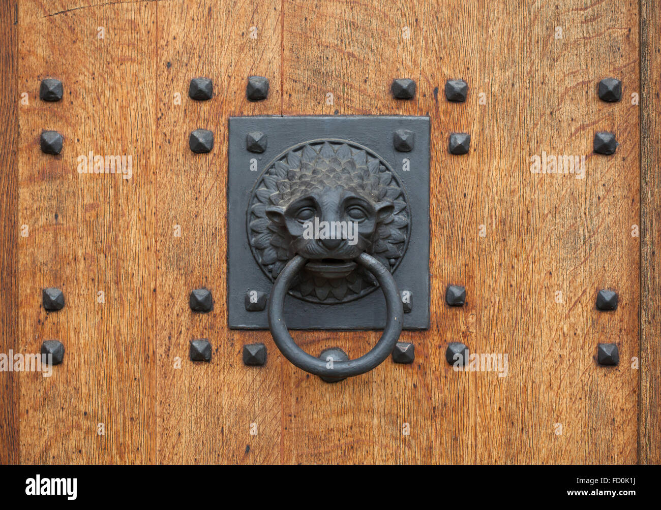 Doorknocker en forme de tête de lion tenant un anneau sur la porte en bois de l'Herrgottskirche à Creglingen, Allemagne. Banque D'Images