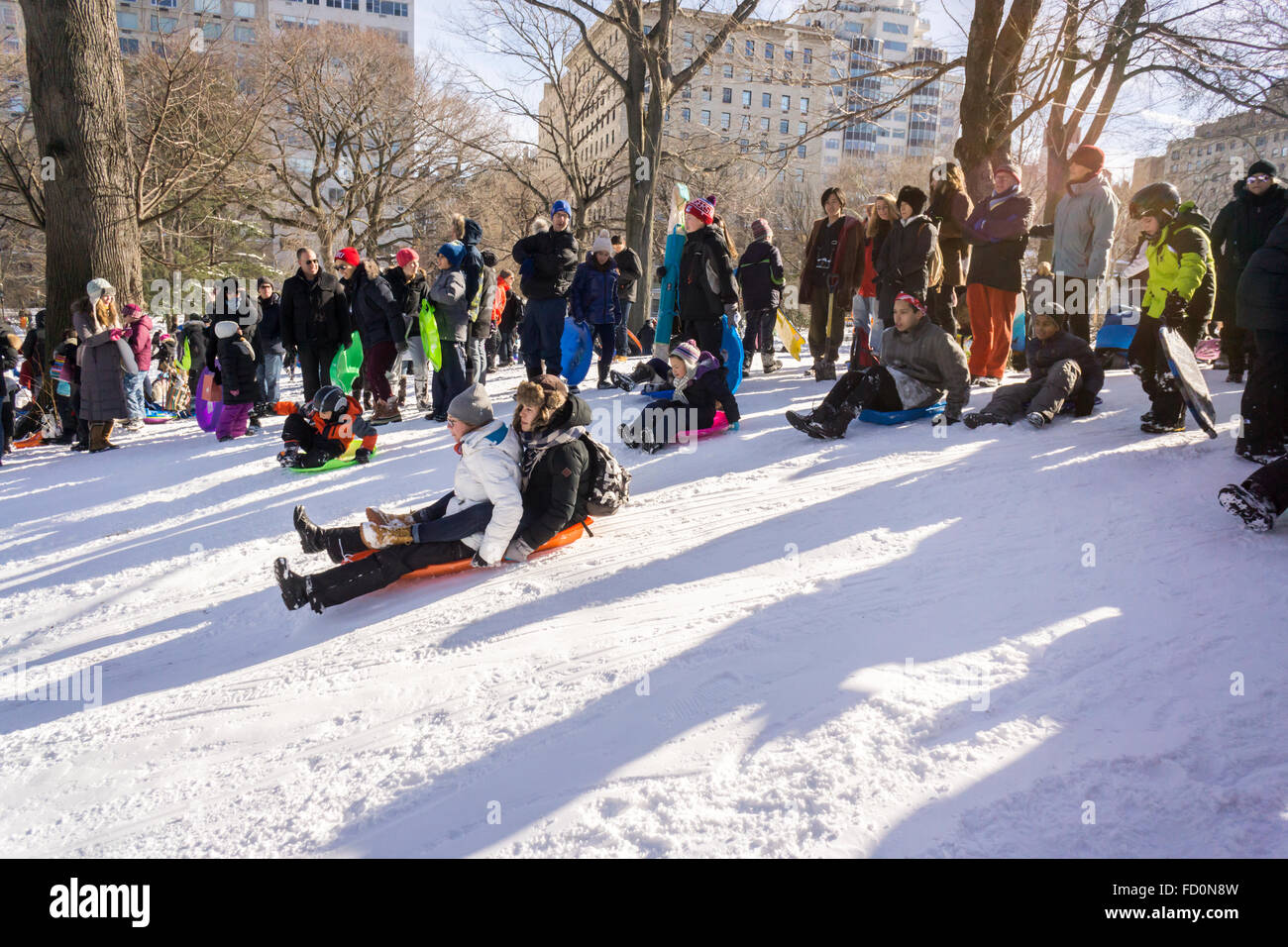 Les visiteurs de Pilgrim Hill dans Central Park en traîneau l'après Tempête Jonas le Dimanche, Janvier 24, 2016. Le blizzard de dumping de 26,8 pouces sur Central Park ce qui en fait le deuxième montant le plus élevé depuis que l'on a commencé en 1869. (© Richard B. Levine) Banque D'Images