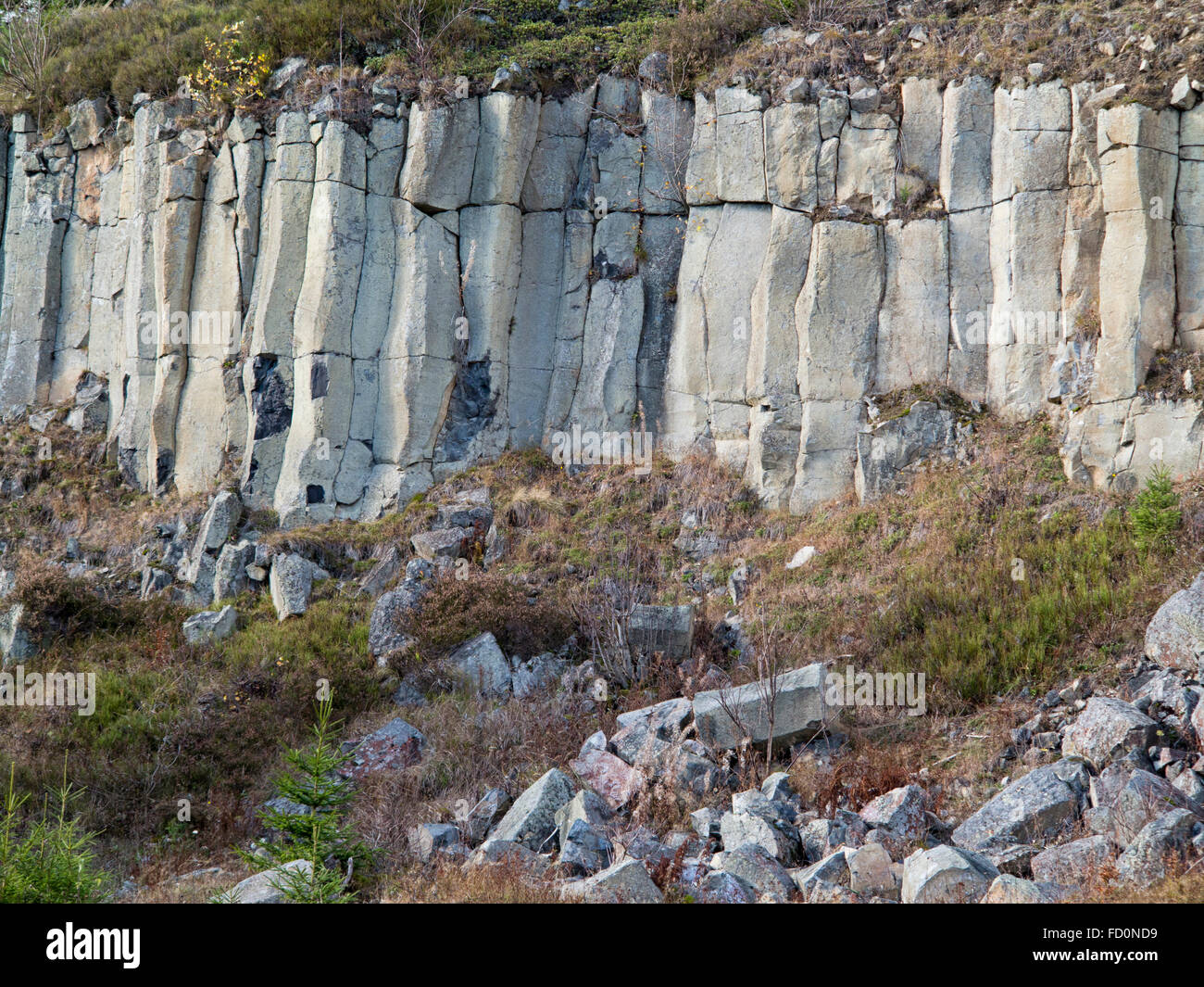 Ancienne carrière de basalte dans les Monts métallifères - colonnes de basalte Banque D'Images