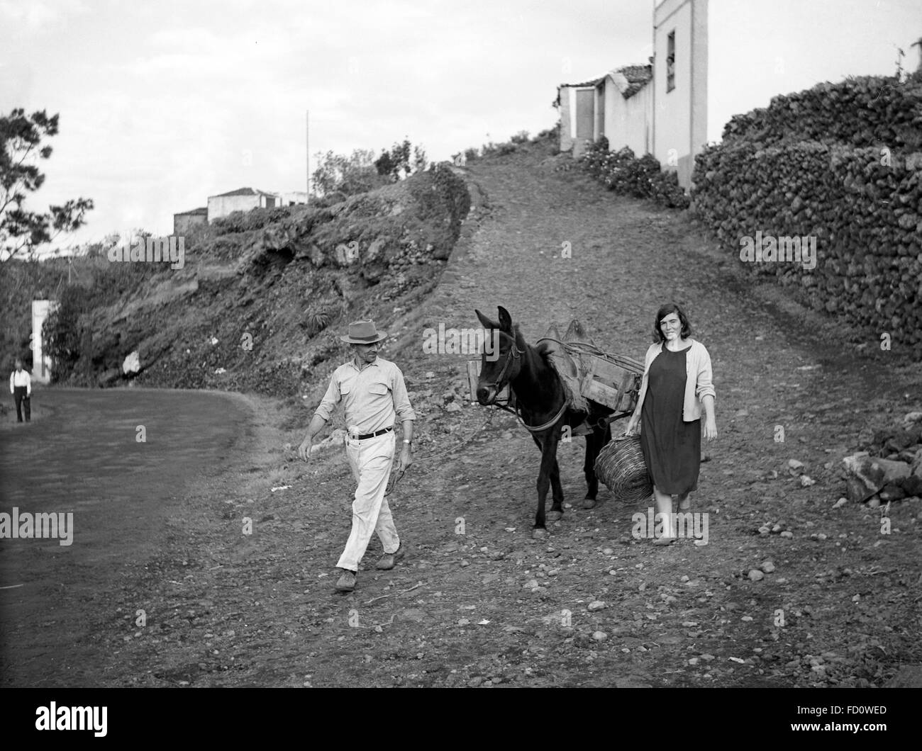 L'homme et la femme avec un âne Tenerife Espagne 1950 Banque D'Images
