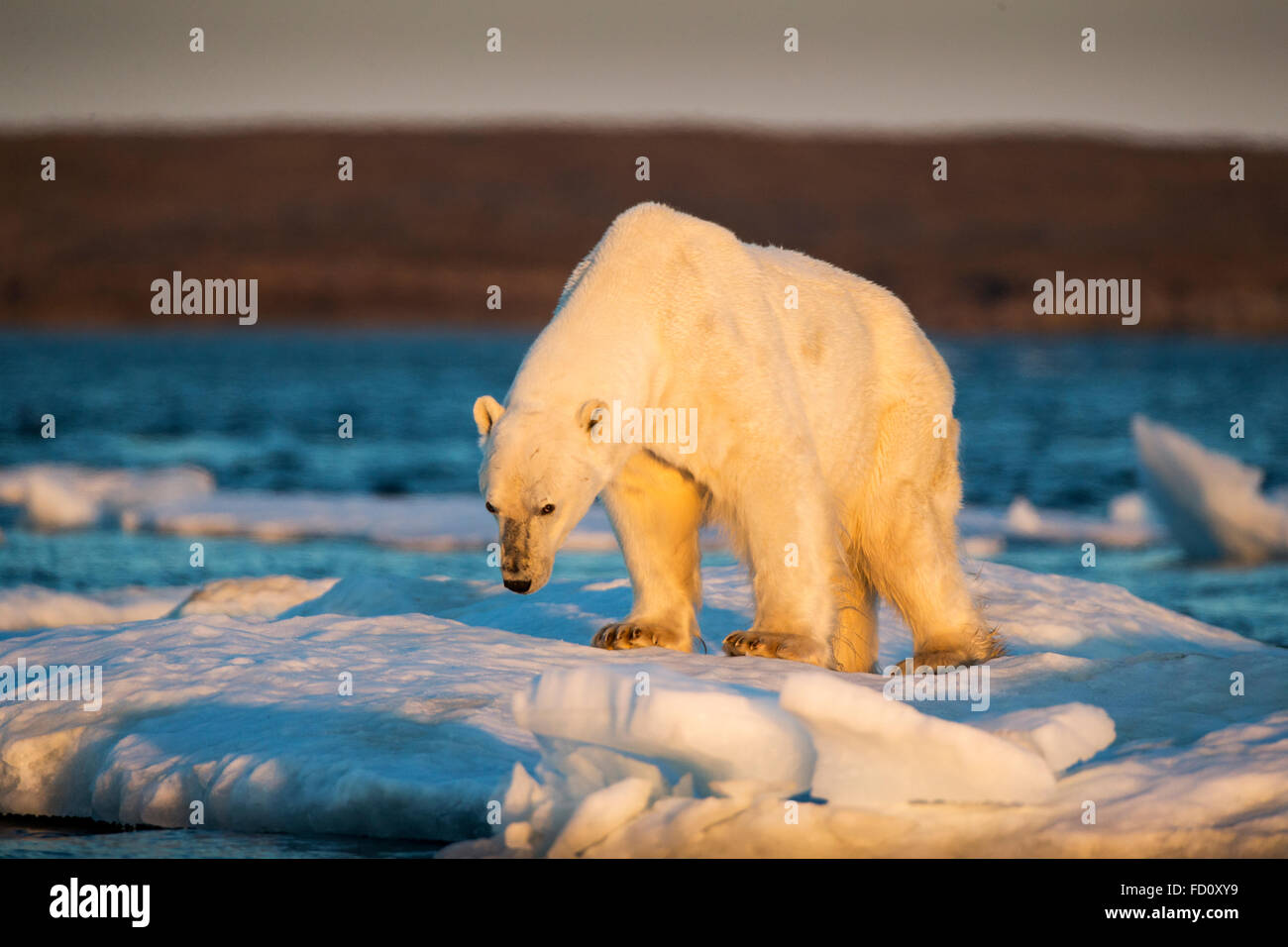welcome to canada banque d image et photos alamy