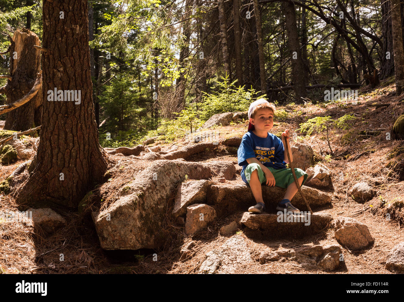 Un garçon de 5 ans prend une pause au cours d'une randonnée en famille dans l'Acadia National Park. Banque D'Images