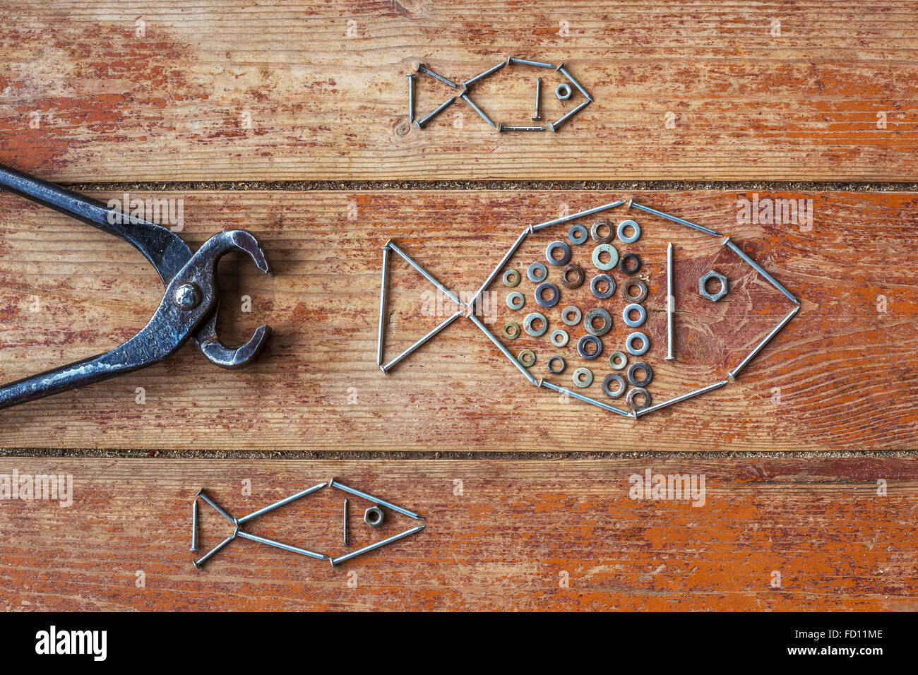 Vieux d'une pince et d'ongles, énoncés sous la forme de poissons.Création durant les travaux de réparation Banque D'Images