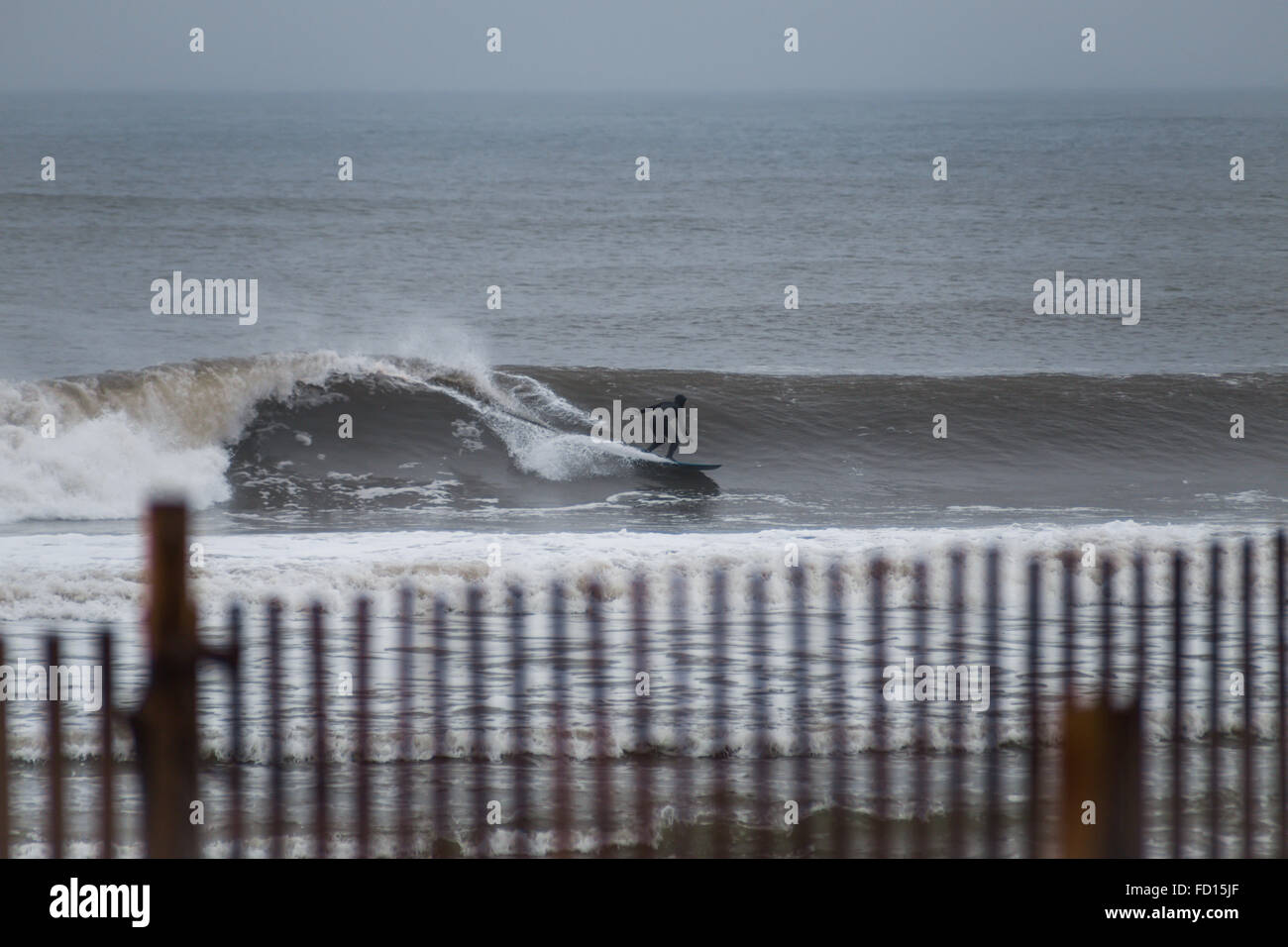 Croisière surfeur sur une vague. Photographié à Rockaway Beach, New York le 29 décembre 2015. Banque D'Images