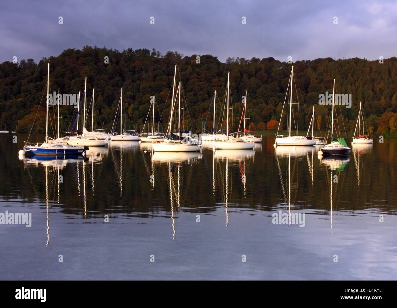 Tôt le matin, la lumière d'automne sur le lac Windermere, Cumbria Banque D'Images