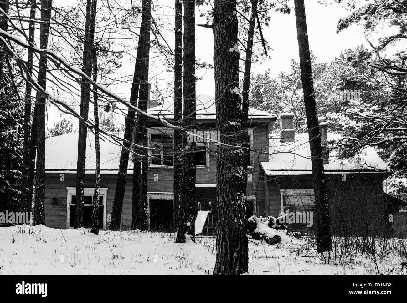 Old house in forest Banque D'Images