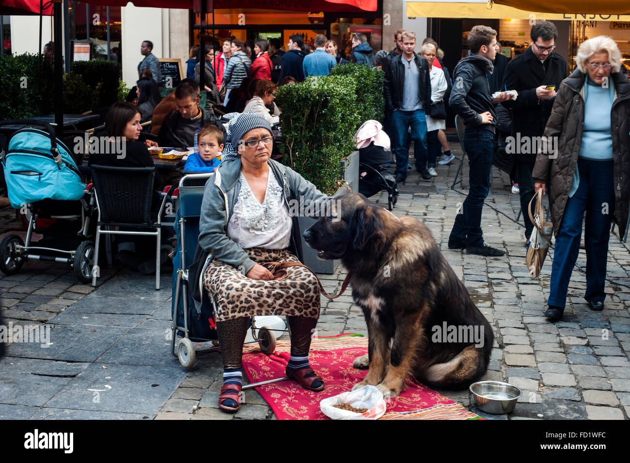 Une femme avec son chien mendiant dans le domaine des galeries Saint Hubert à Bruxelles Banque D'Images