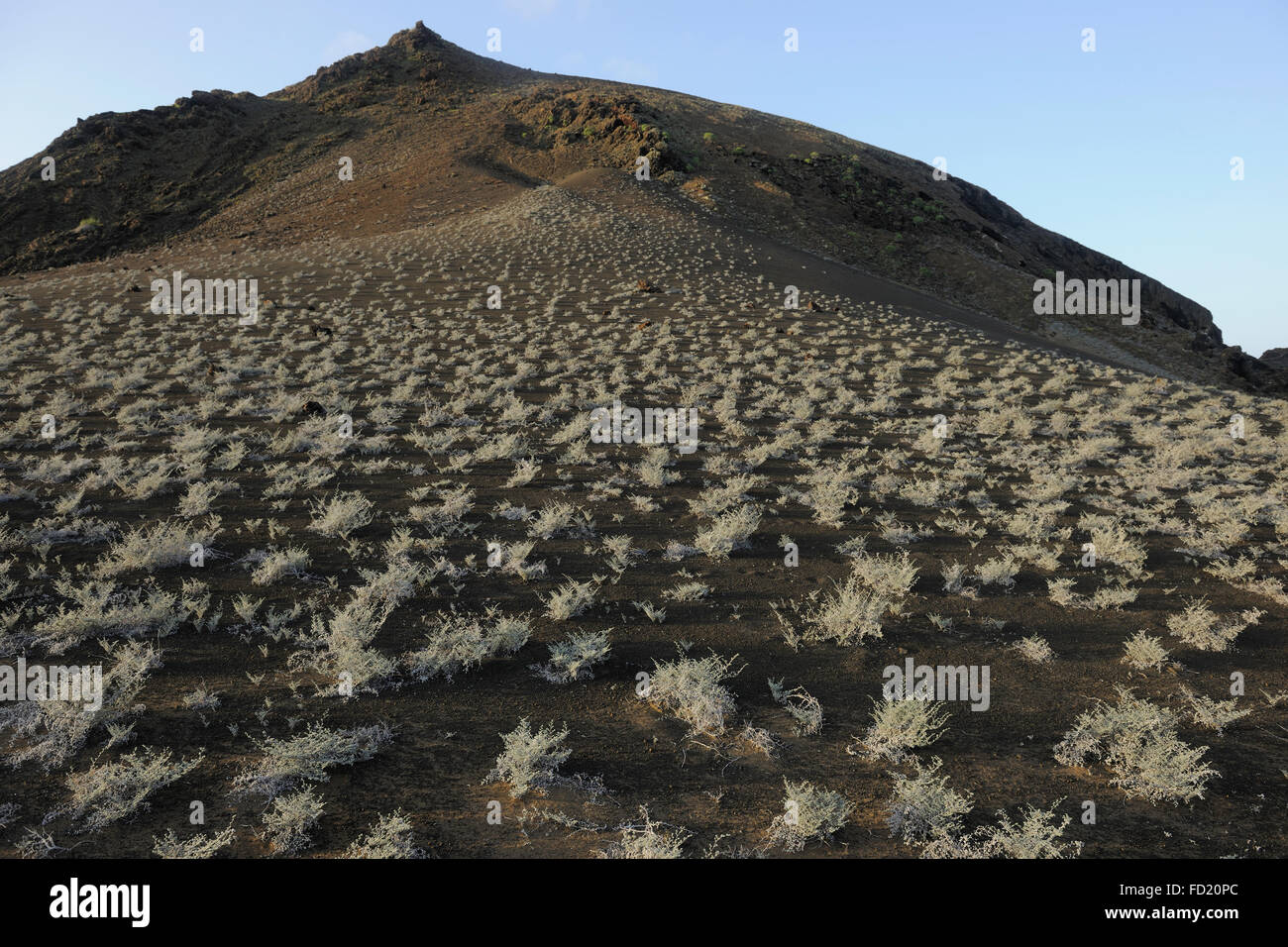 Bartholomew, l'île de Galapagos, Équateur. Banque D'Images