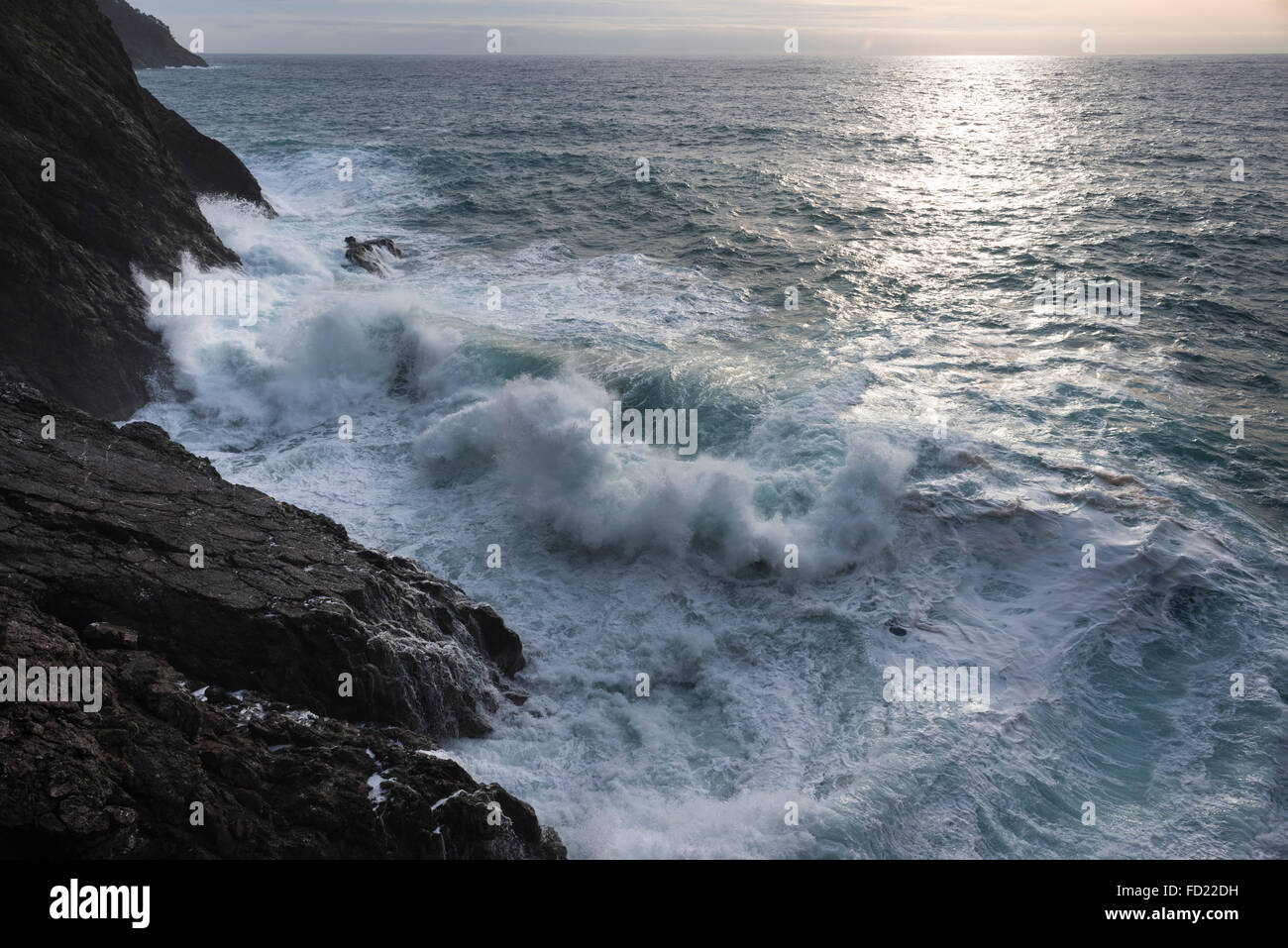 Cinque Terre, ligurie, italie. Banque D'Images