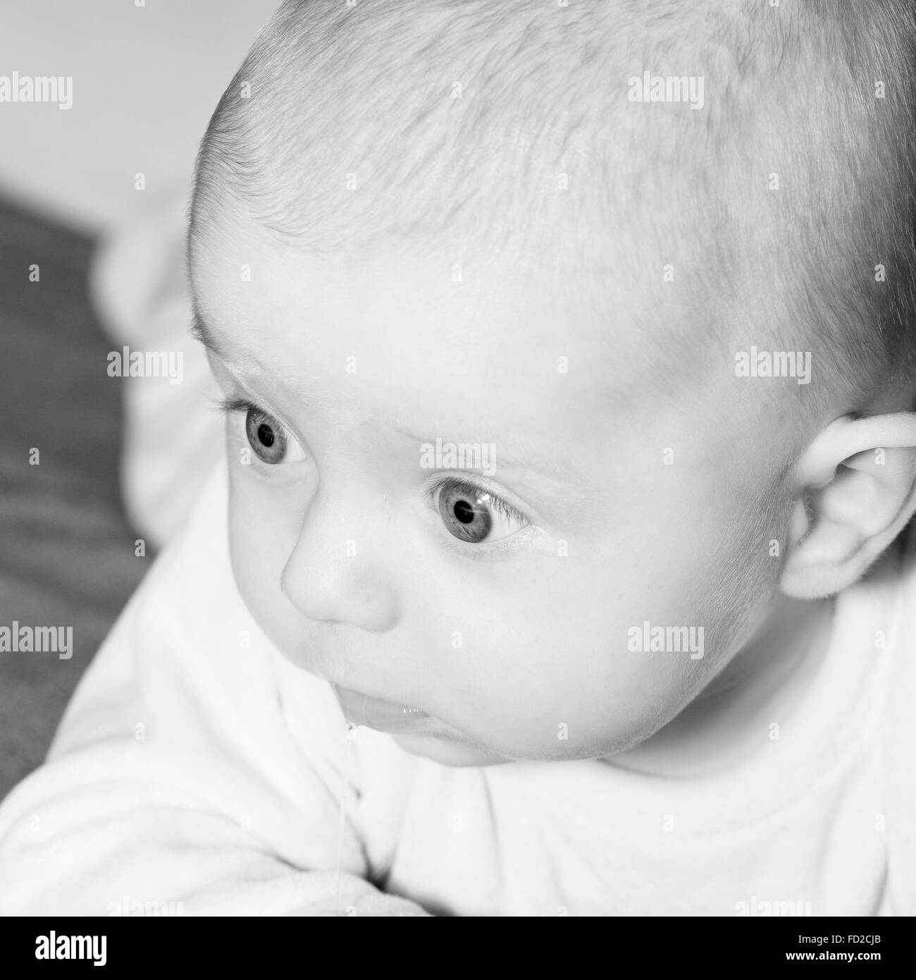 Portrait d'un petit garçon de 4 mois noir et blanc portrait Banque D'Images