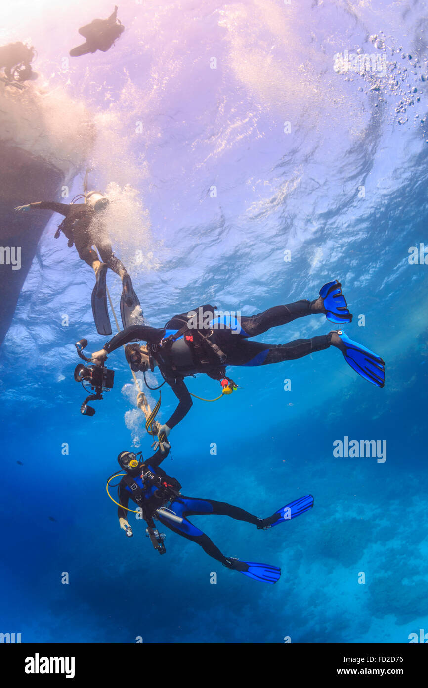 Sous l'eau, activité, aventure, beauté, aquatique, bateau, bleu, colony, profonde, plongeur, plongée sous-marine, l'Égypte, Banque D'Images