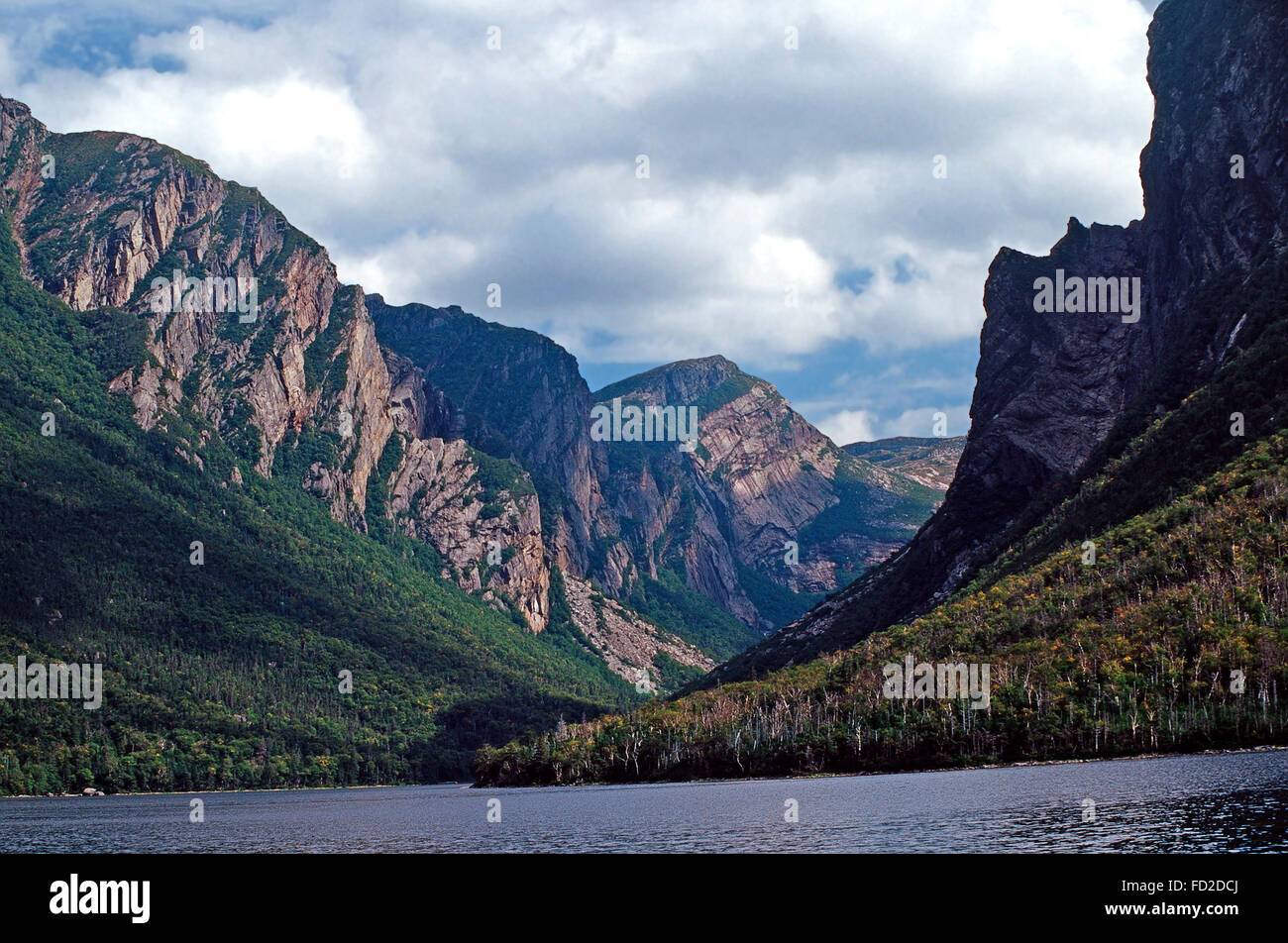 L'étang Western Brook,Parc national de Gros Morne, Terre-Neuve Banque D'Images