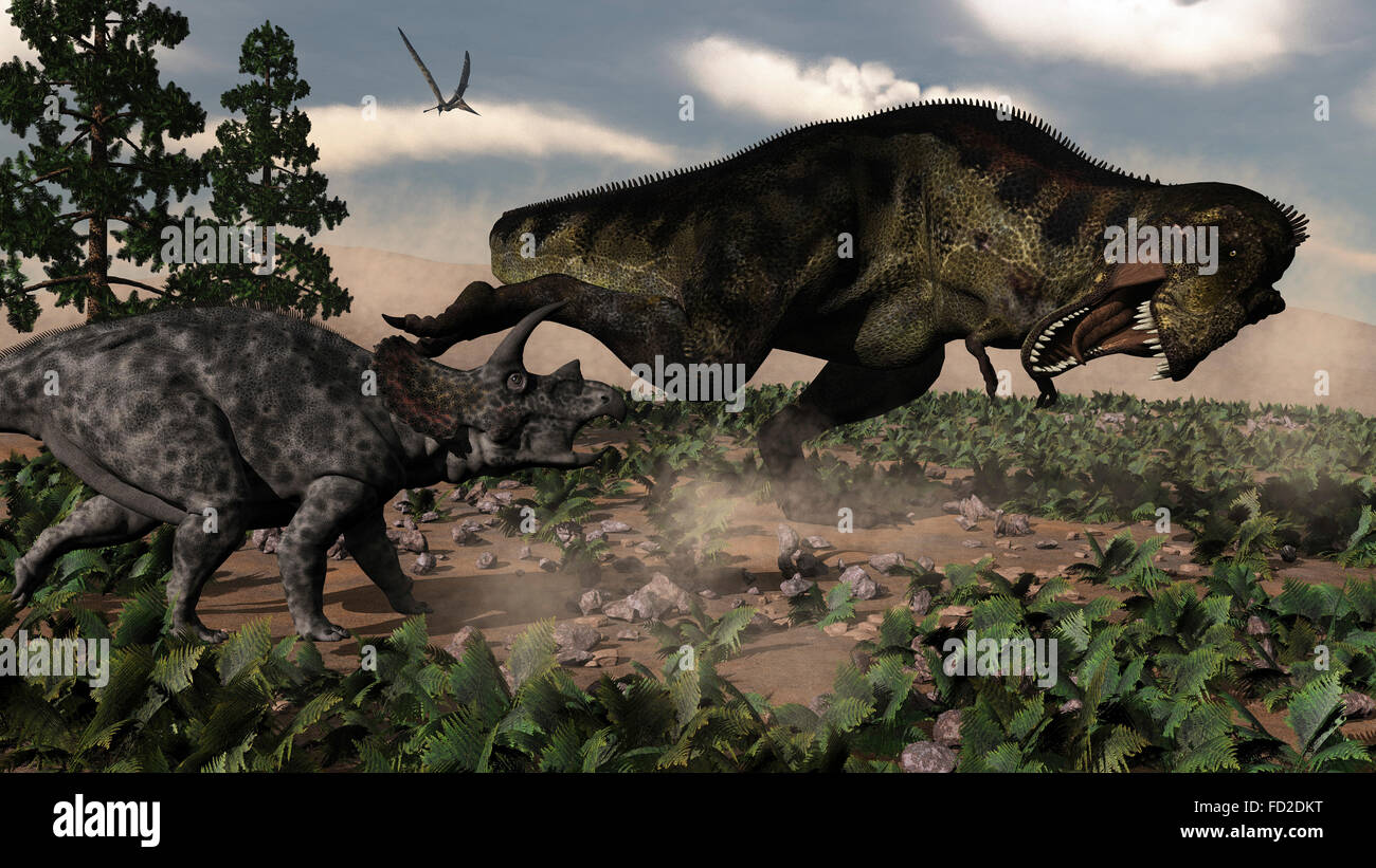 Tyrannosaurus rex à un rugissant Tricératops. Banque D'Images