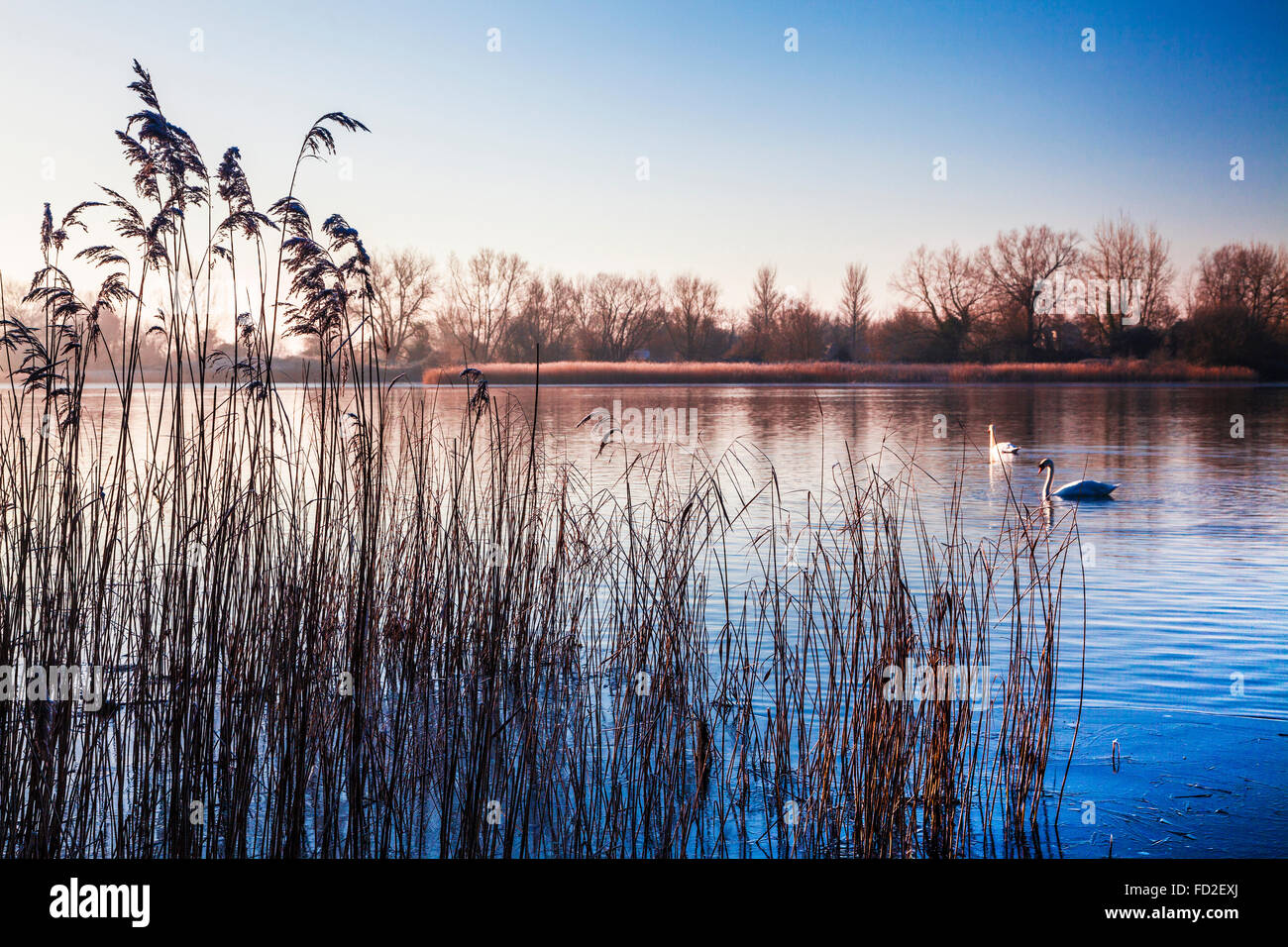 Un lever de soleil sur l'hiver l'un des lacs à Cotswold Water Park Banque D'Images