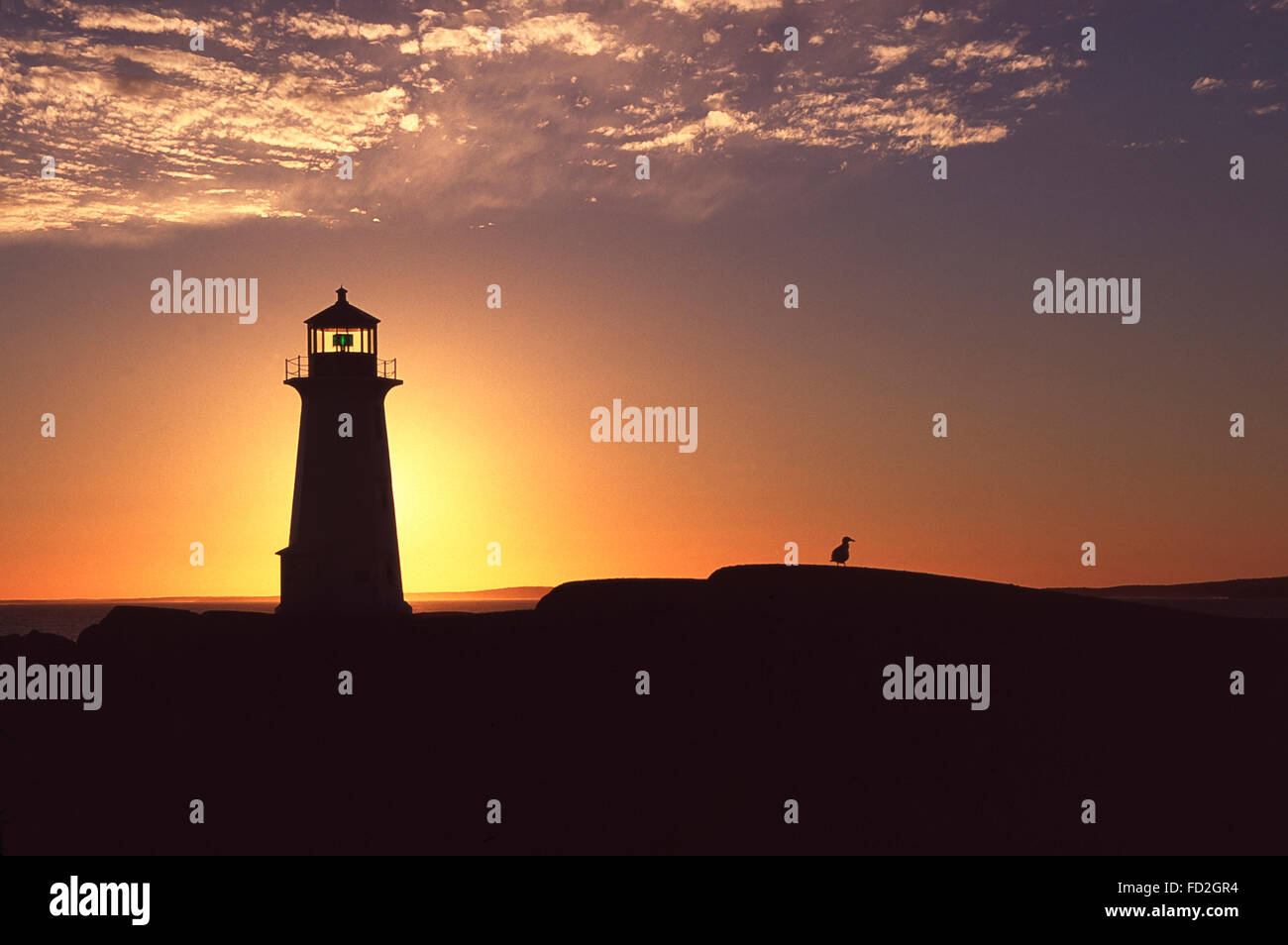 Le phare de Peggy's Cove et mouette au coucher du soleil,Nova Scotia Banque D'Images