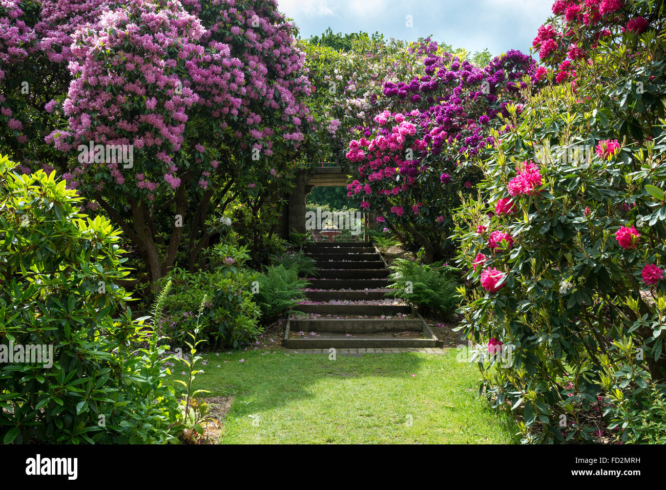 Étapes menant à l'entrée du jardin de fleurs de style victorien à Wentworth Castle Gardens, dans le Yorkshire. Banque D'Images