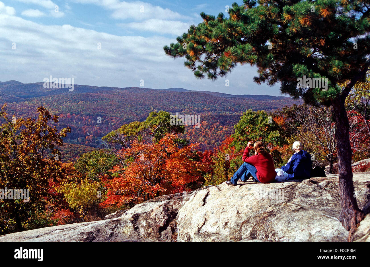 À la recherche de la couleur de l'automne de Bear Mountain State Park, New York Banque D'Images