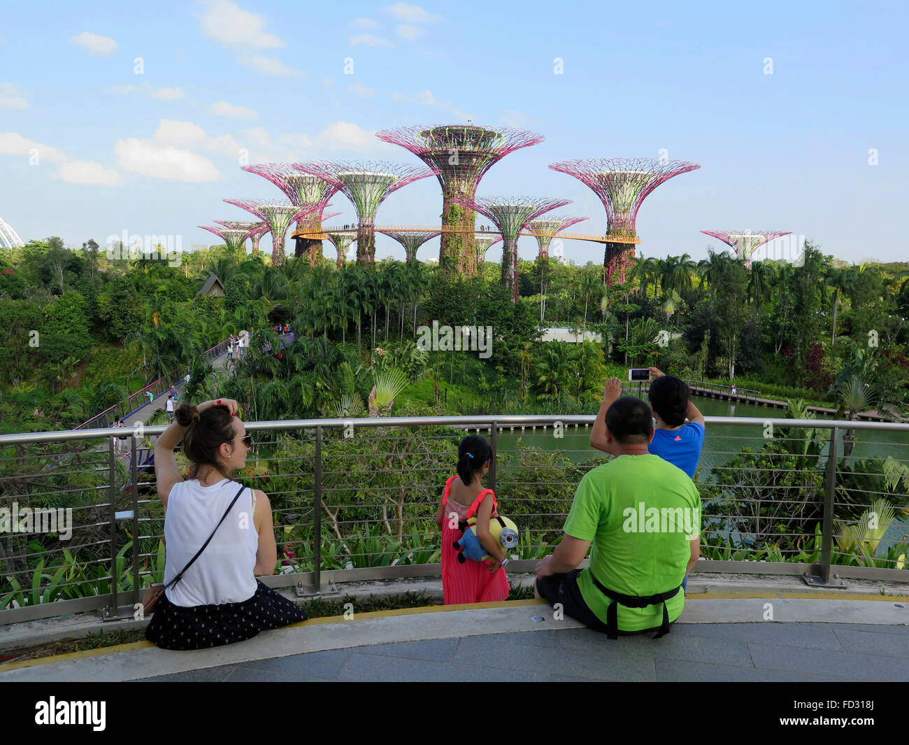 Vue sur Supertree Grove, jardins par le Bay Park, à Singapour, en Asie Banque D'Images