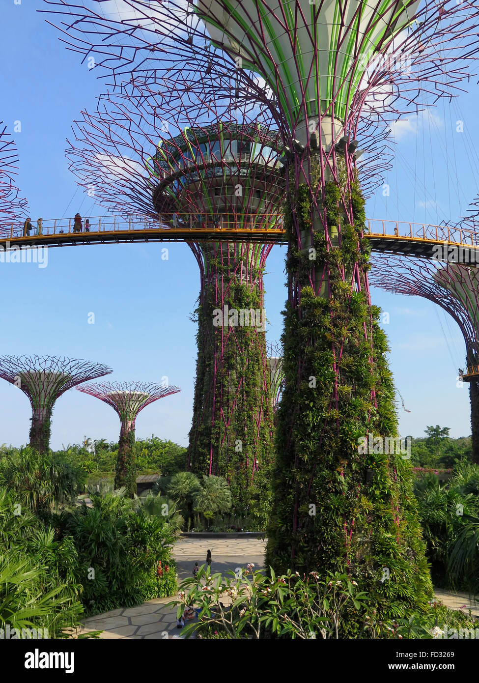 Vue sur Supertree Grove, jardins par le Bay Park, à Singapour, en Asie Banque D'Images