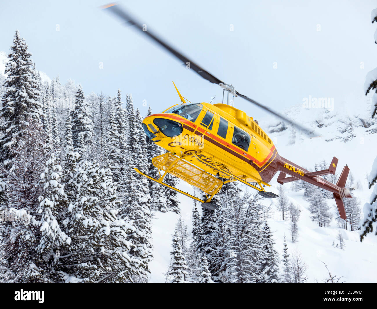 Les skieurs de l'arrière de l'hélicoptère vole à montage à distance Carlyle Lodge ; Monts Selkirk ; British Columbia, Canada Banque D'Images