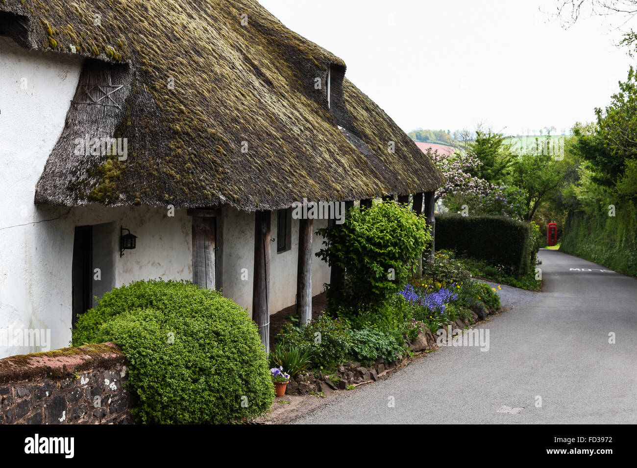Dunchideock, Devon, UK, thatched cottage traditionnel téléphone cabine téléphonique rouge boîte Banque D'Images