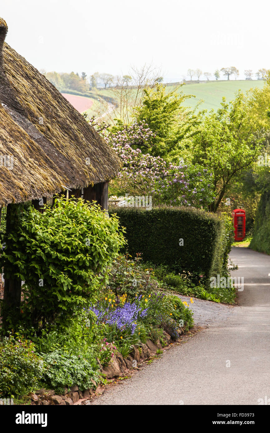 Dunchideock, Devon, UK, thatched cottage traditionnel avec red phone box à distance Banque D'Images
