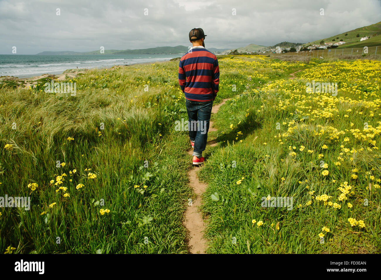 Un homme marche au milieu des fleurs jaunes le long de la côte de Big Sur, en Californie. Banque D'Images