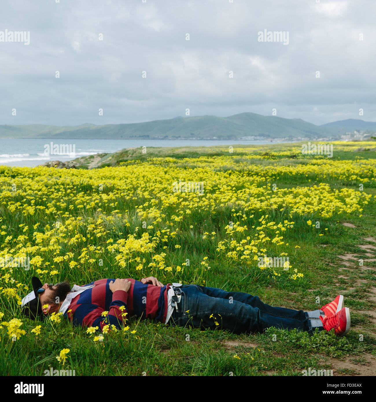Un homme se repose dans un champ de fleurs jaunes sur le rivage de Big Sur, en Californie. Banque D'Images
