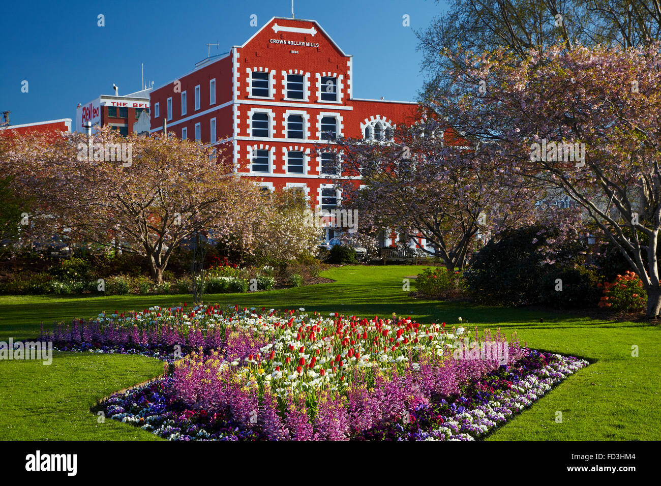 Les fleurs du printemps et de l'État historique des moulins, Dunedin, Otago, île du Sud, Nouvelle-Zélande Banque D'Images