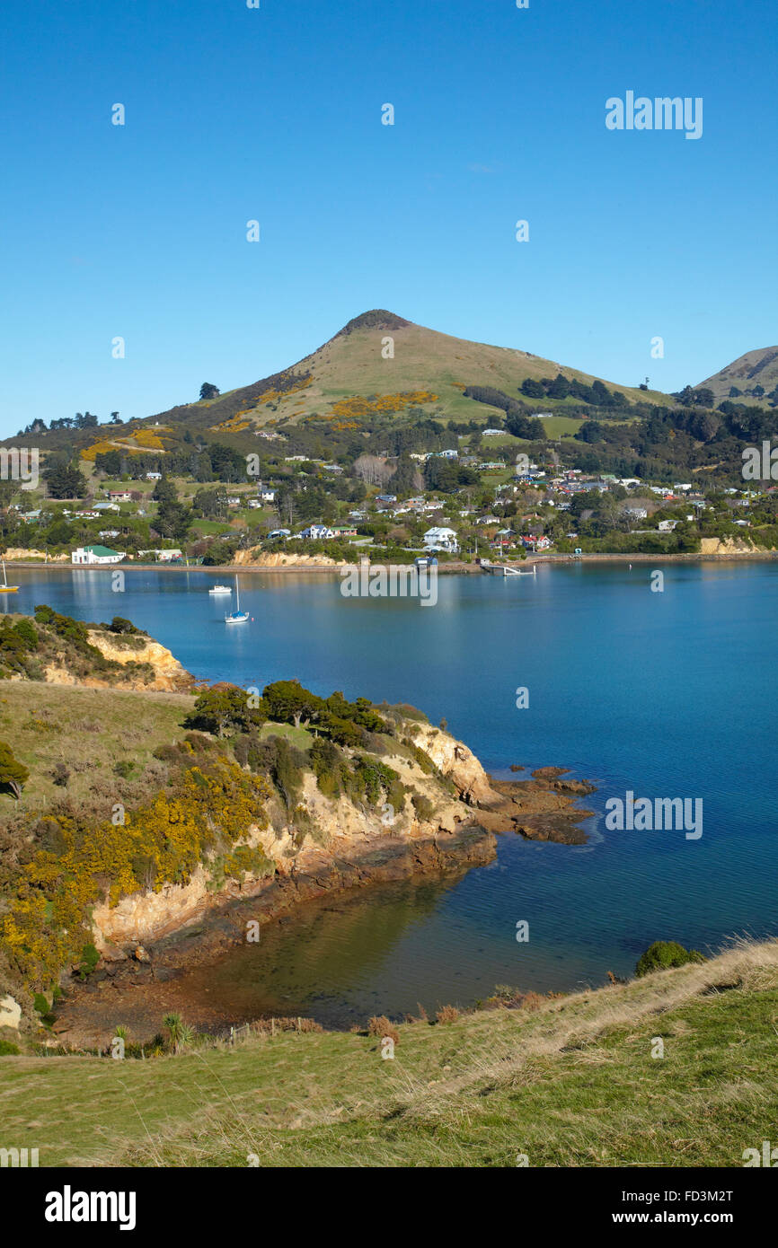 Latham Bay, Portobello, le port et la péninsule d'Otago, cône, et le port d'Otago, Dunedin, Nouvelle-Zélande, île du Sud Banque D'Images