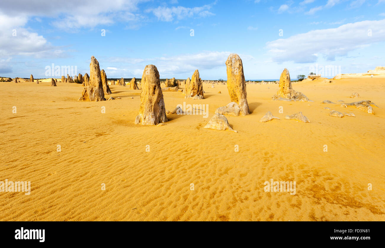 Les pinacles sont des formations calcaires dans le Parc National de Nambung, près de la ville de Cervantès, l'ouest de l'Australie. Banque D'Images