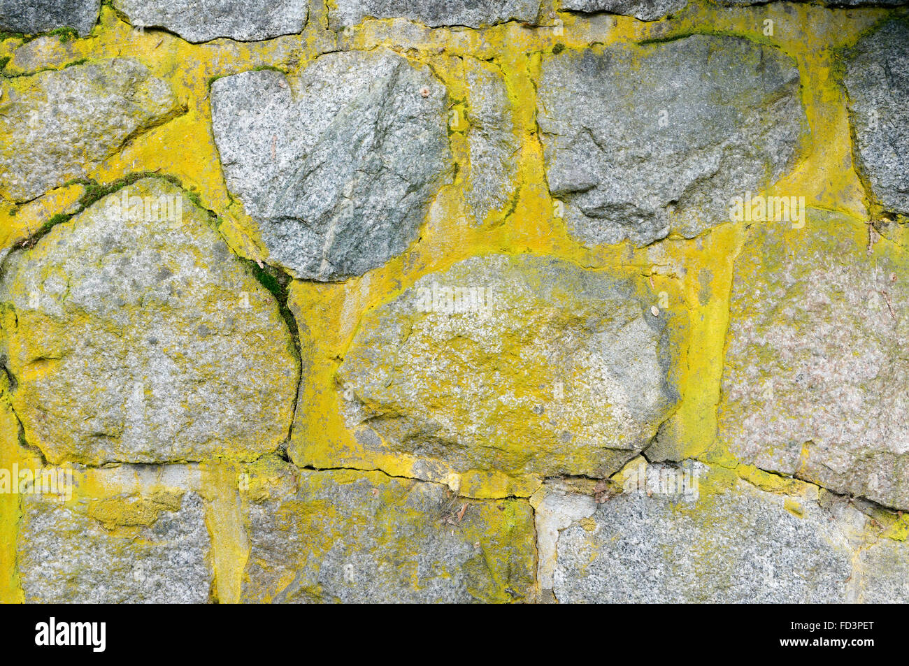Close up of rough cut gray mur de pierre couvert de lichen jaune verdâtre Banque D'Images
