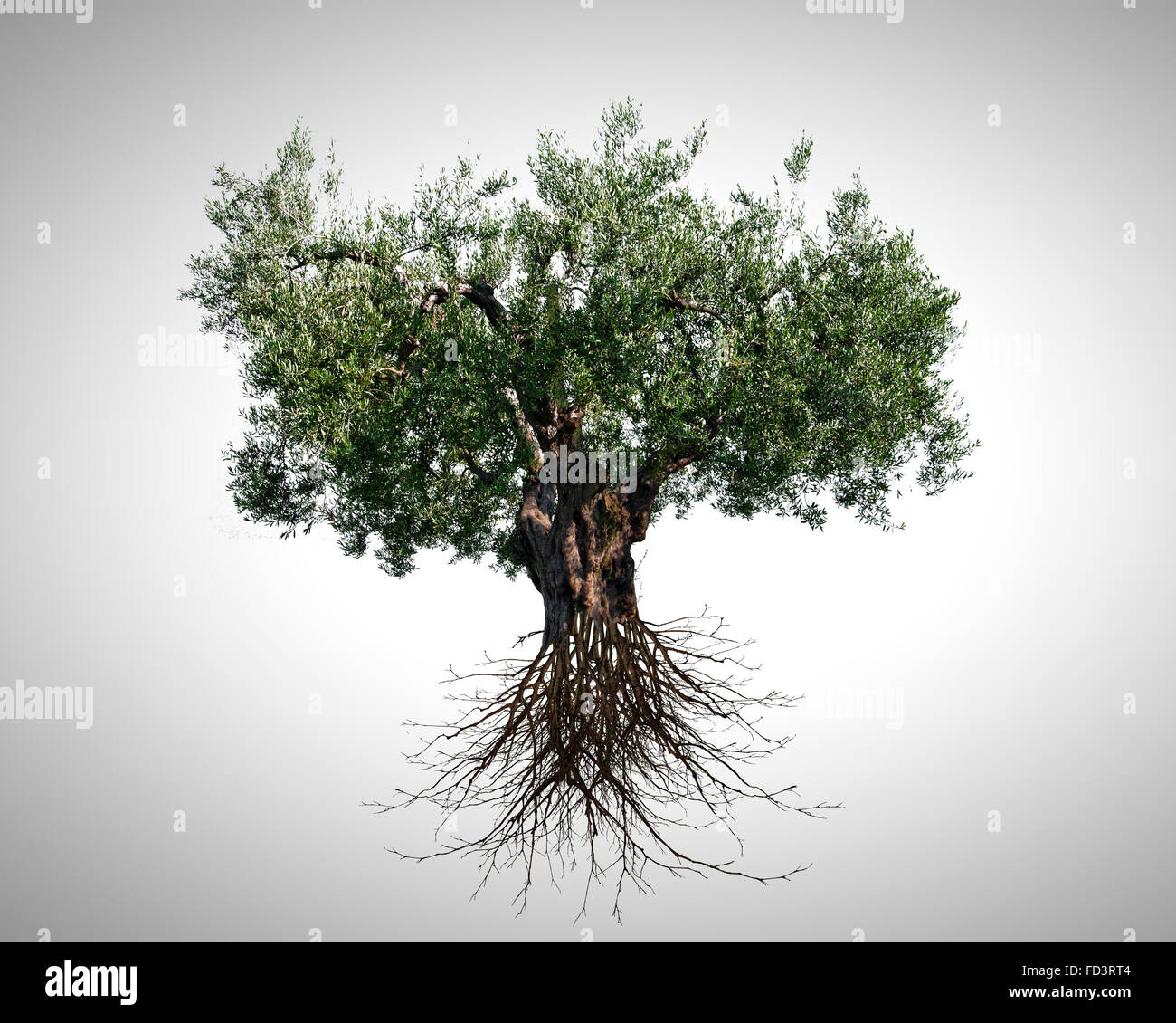 Image conceptuelle de l'arbre vert en forme de cerveau Banque D'Images