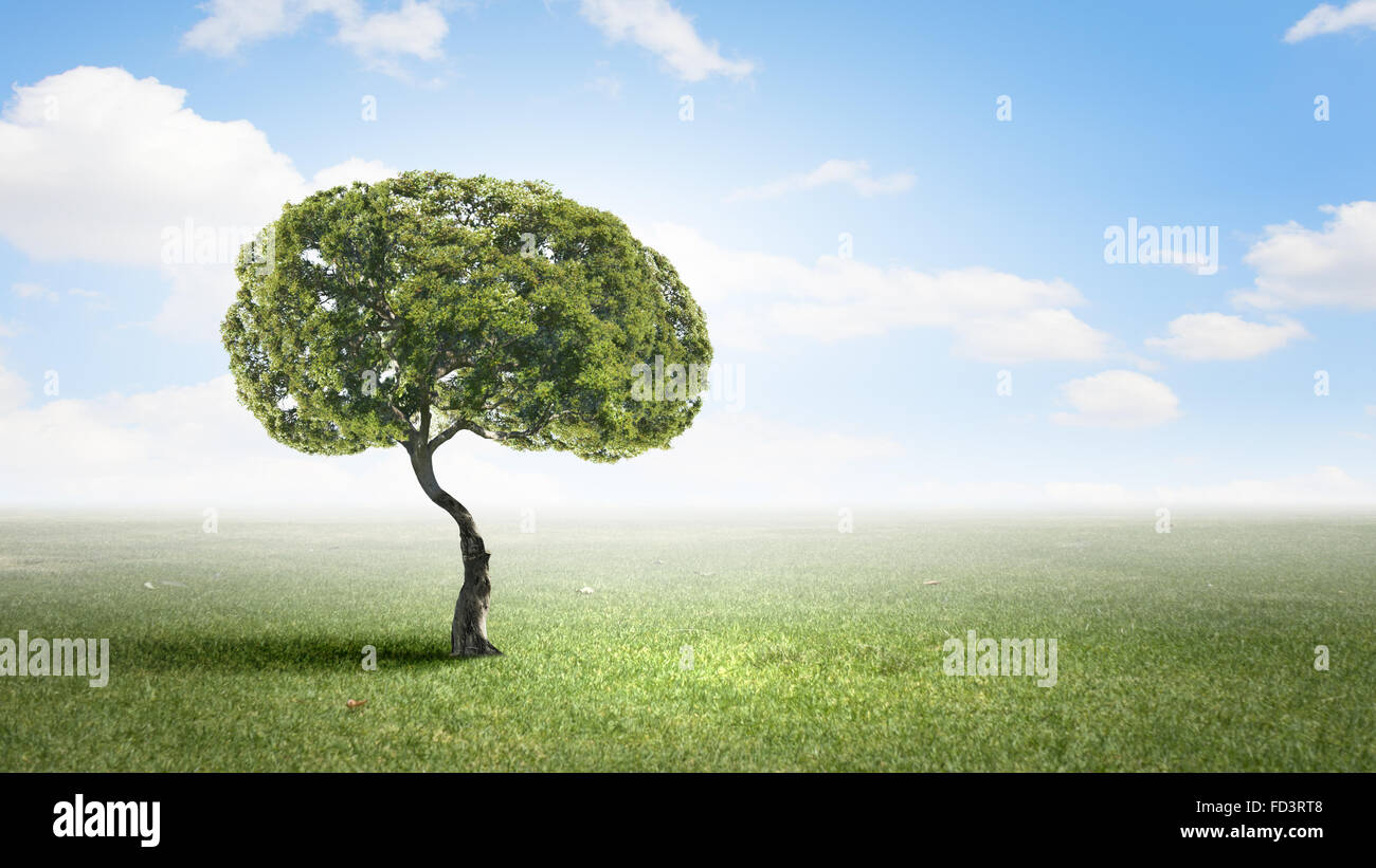 Image conceptuelle de l'arbre vert en forme de cerveau Banque D'Images